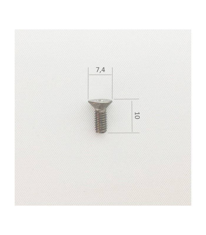 Schraube M4x10, 10 Stk