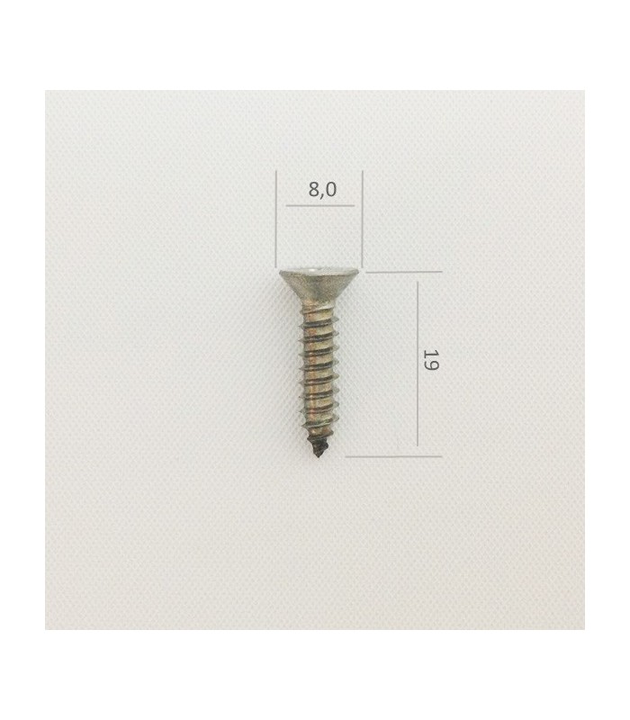 Schraube 4,2x19, 10 Stk
